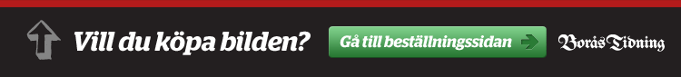 Best�ll balbilder!