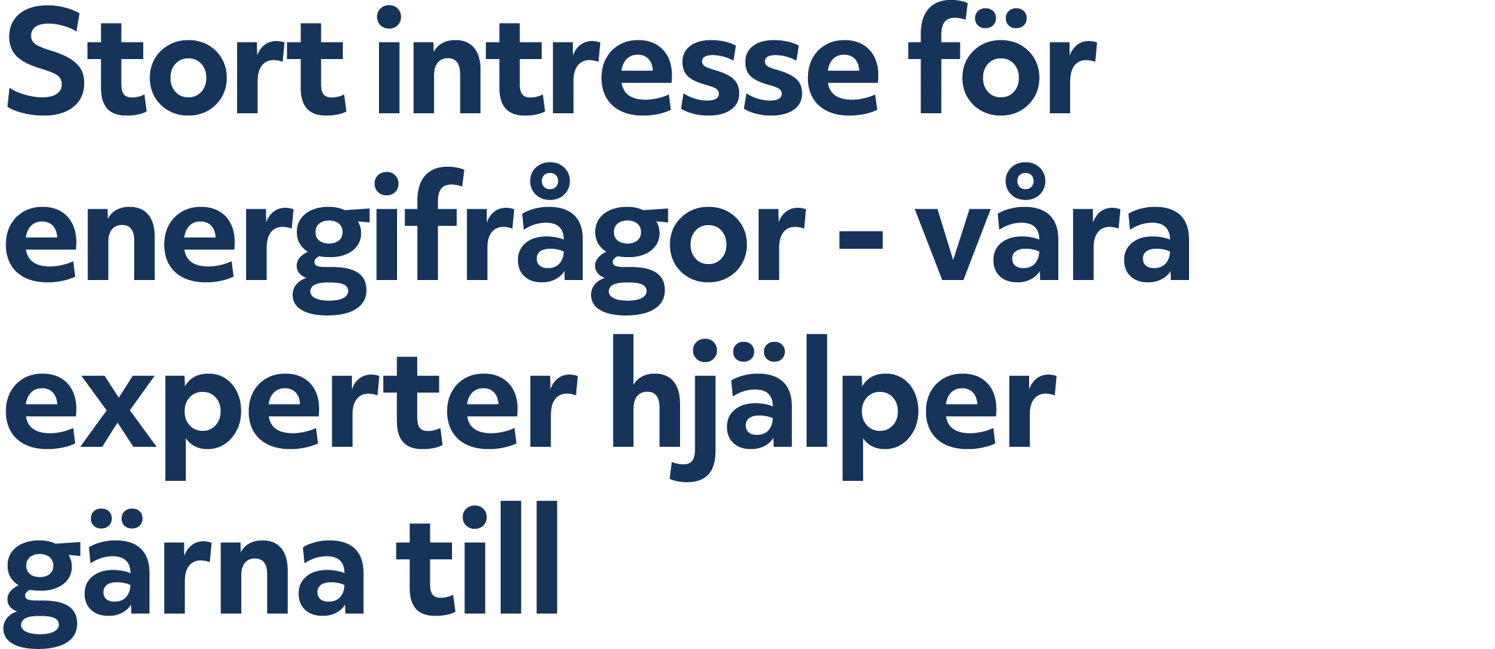 Stort intresse f r energi­fr gor v ra experter hj lper g rna till