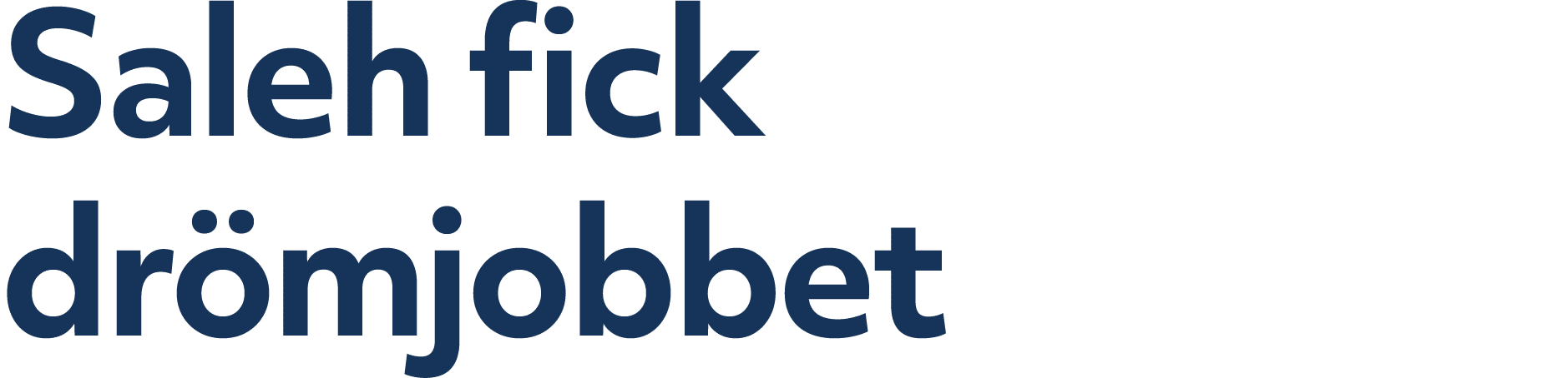 Saleh fick dr mjobbet