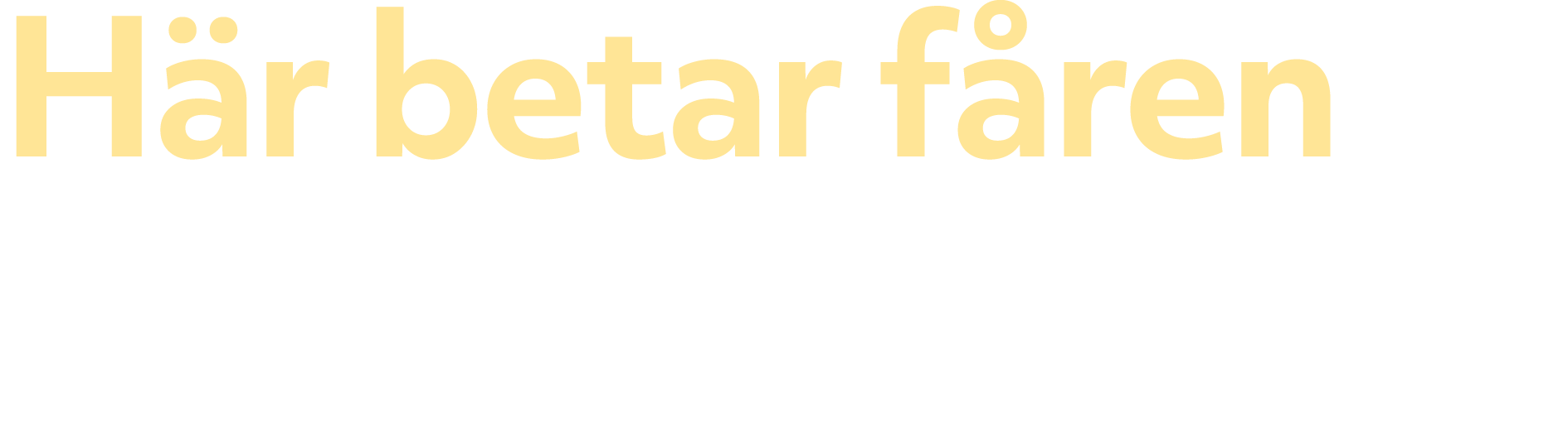 H r betar f ren – i solcellsparken