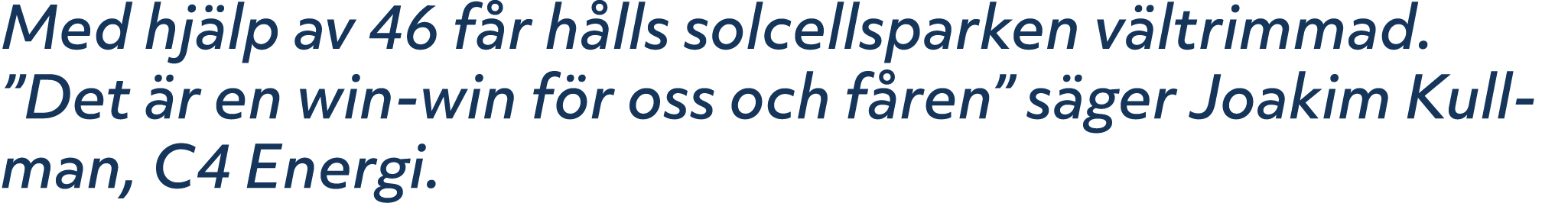 Med hj lp av 46 f r h lls solcellsparken v ltrimmad. ”Det r en win win f r oss och f ren” s ger Joakim Kullman, C4 E...
