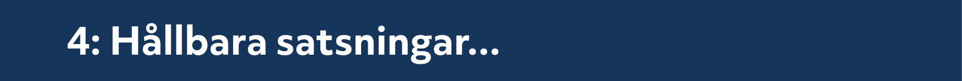 4: H llbara satsningar...