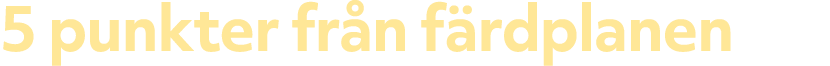 5 punkter fr n f rdplanen