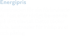 Energipris Kostnaden f r din f rbrukade el. Fast eller r rligt beroende p ditt elavtal. Detta t cker b.la. kostnader...