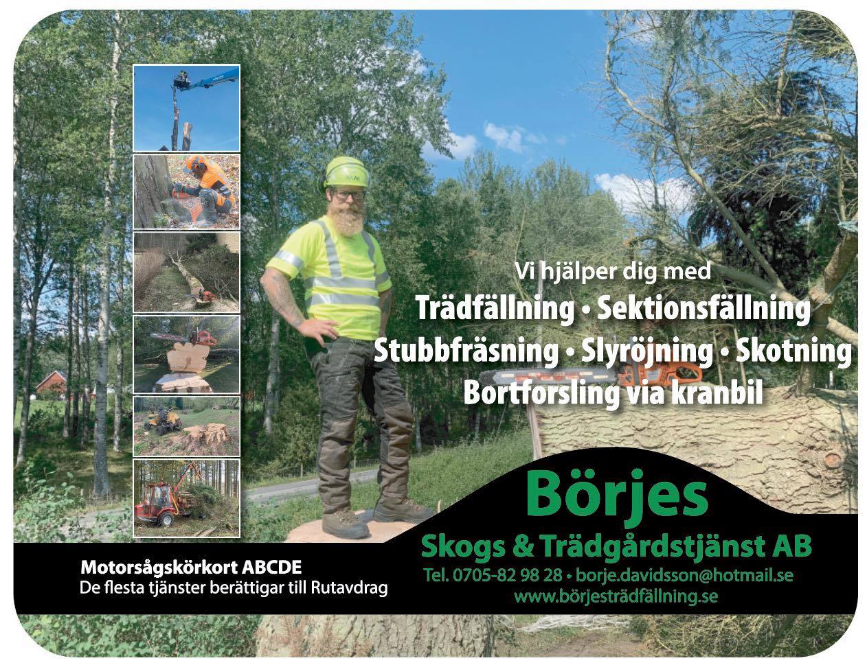 Börjes Skogs & Trädgårdstjänst AB cover